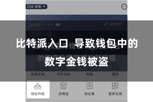 比特派入口  导致钱包中的数字金钱被盗
